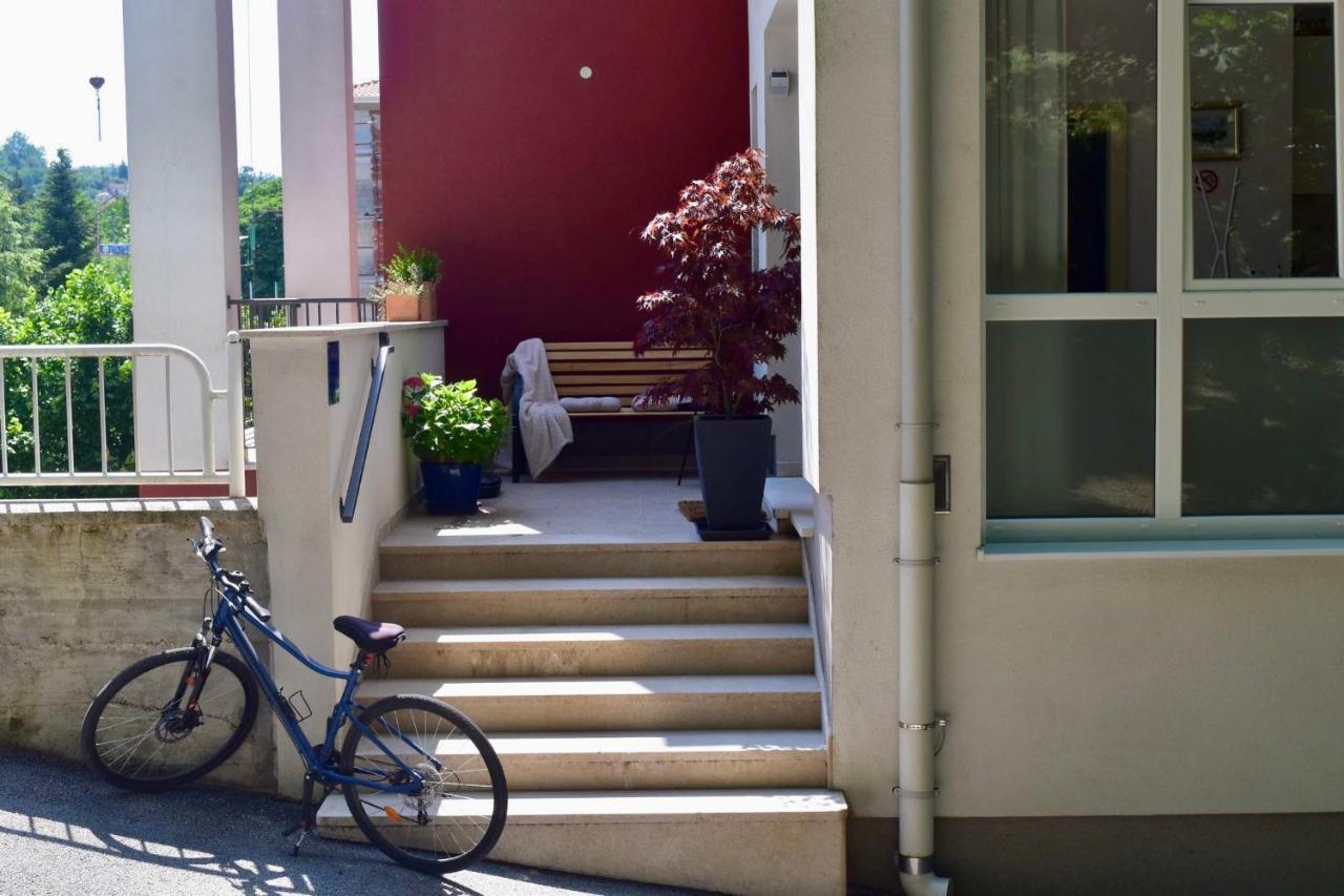 Studio Apartment Stazion With Free Parking Pazin Luaran gambar